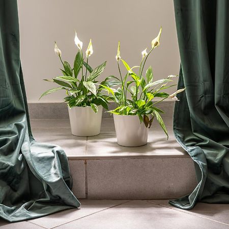 Belle Arti Home Rom Eksteriør billede